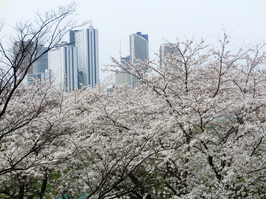 パークハウス多摩川南参番館 バルコニーからの春の眺望